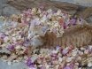 Cat playing with bougavillea petals